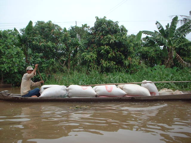 boat with rice